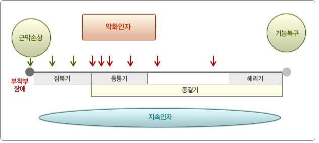 오십견의 병기 도해